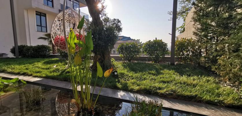 PEYZAJ MİMARLIĞI NEDİR?