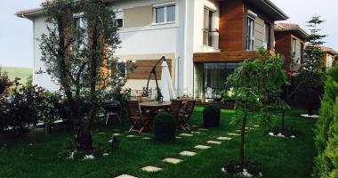 Dekar Asmalı Bahçe