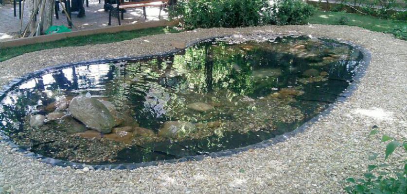 Biyolojik Göller ve Havuzlar