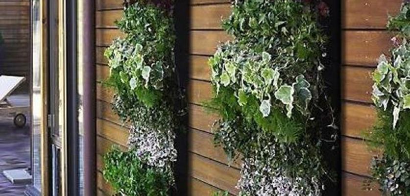 Dikey Bahçe & Yeşil Çatı