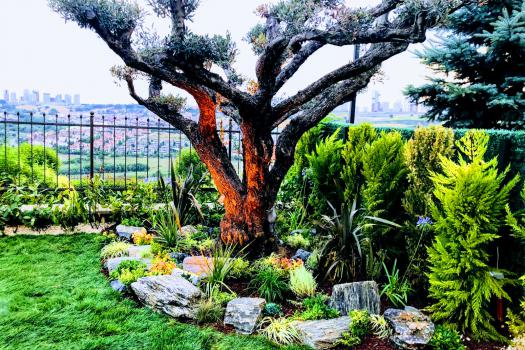 Bahçe ve Ziraat Ürünleri