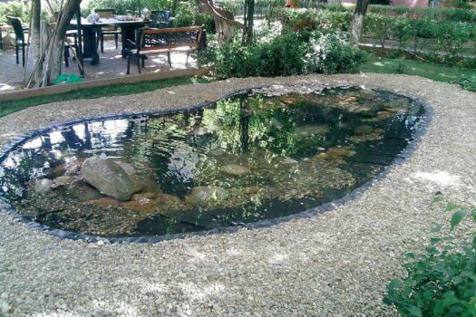 Biyolojik Göller ve Havuzlar