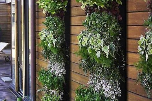 Dikey Bahçe & Yeşil Çatı
